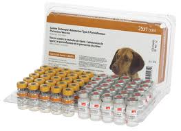 dog vaccines